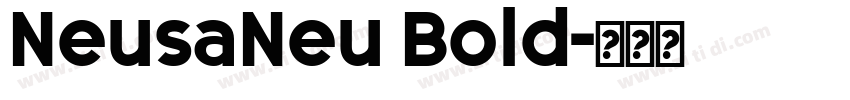 NeusaNeu Bold字体转换